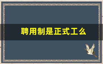 聘用制是正式工么