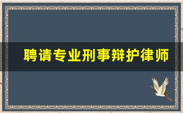 聘请专业刑事辩护律师