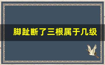 脚趾断了三根属于几级伤残_脚趾骨折一般赔几万元