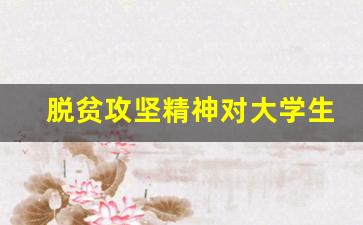 脱贫攻坚精神对大学生的启示_脱贫攻坚典型人物事迹材料