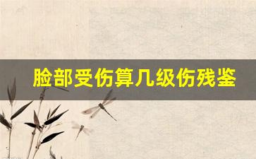 脸部受伤算几级伤残鉴定