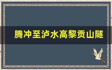 腾冲至泸水高黎贡山隧道_腾冲至泸水高速规划路线