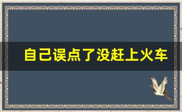 自己误点了没赶上火车怎么办