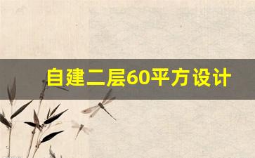 自建二层60平方设计图_农村最火的二层半别墅