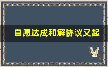 自愿达成和解协议又起诉_受伤一次性赔偿私了协议书