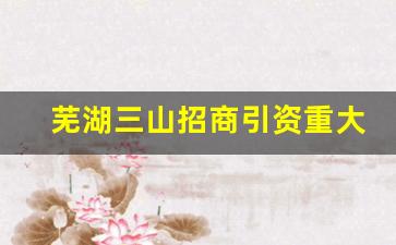 芜湖三山招商引资重大项目_三山龙窝湖湿地公园最新消息