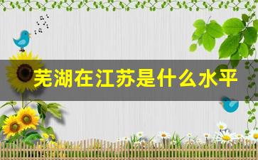 芜湖在江苏是什么水平_芜湖发展潜力大吗