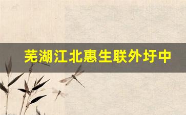 芜湖江北惠生联外圩中路拆迁了吗_2023年惠生联圩跟蛟矶