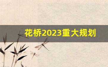 花桥2023重大规划项目_2024年花桥并入上海哪个区