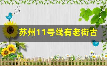 苏州11号线有老街古镇吗_苏州坐地铁可直达上海吗