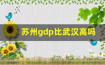 苏州gdp比武汉高吗_武汉和苏州综合实力