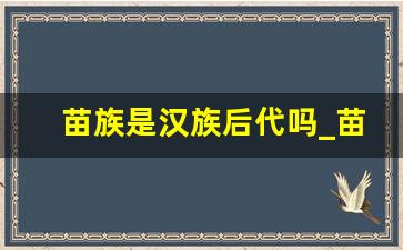 苗族是汉族后代吗_苗族和汉族结婚生的娃是什么族