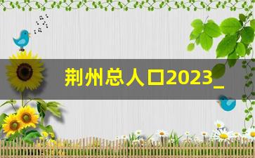 荆州总人口2023_宜昌主城区人口2020总人数多少