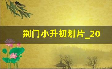 荆门小升初划片_2024年荆门城区初中学校划片详情