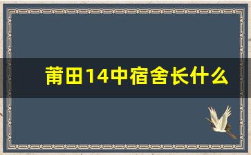 莆田14中宿舍长什么样