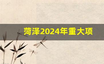 菏泽2024年重大项目规划_菏泽2024年拆迁计划表