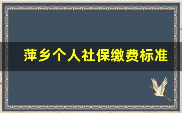 萍乡个人社保缴费标准_没单位个人社保怎么买