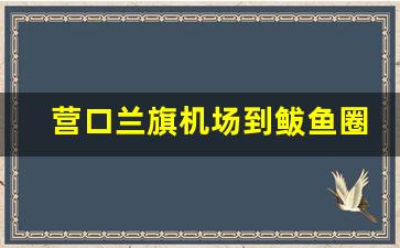 营口兰旗机场到鲅鱼圈怎么走_营口市区到兰旗机场