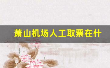 萧山机场人工取票在什么位置_萧山机场T4坐飞机去几楼取票