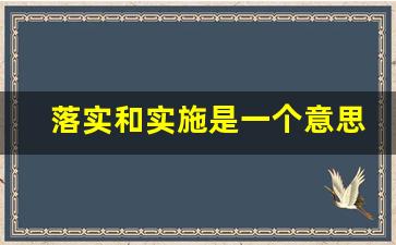 落实和实施是一个意思吗_实施与落实的区别