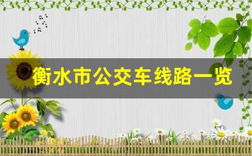 衡水市公交车线路一览表_衡水公交线路大全