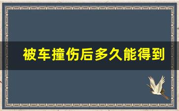 被车撞伤后多久能得到赔偿_事故认定书下来怎么谈赔偿