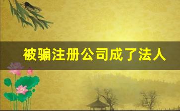 被骗注册公司成了法人怎么注销