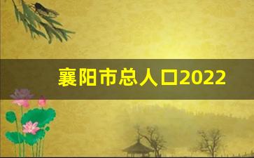 襄阳市总人口2022总人数口