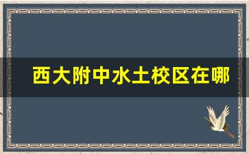 西大附中水土校区在哪里_西附水土和两江南开哪个学校更好