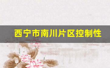 西宁市南川片区控制性详细规划_西宁市南川片区近期开工建设项目