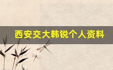 西安交大韩锐个人资料