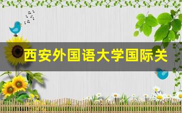 西安外国语大学国际关系学院_西安外国语大学国际学院院长