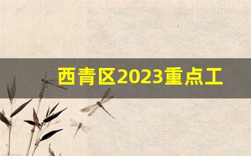 西青区2023重点工程项目