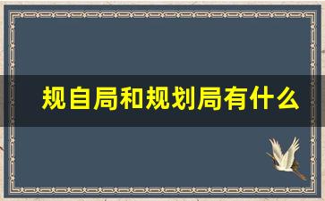 规自局和规划局有什么区别