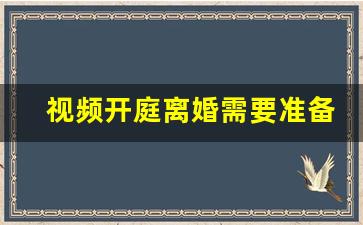 视频开庭离婚需要准备哪些材料