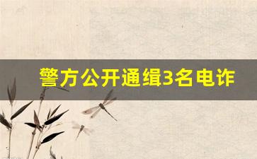 警方公开通缉3名电诈集团重要头目_通缉令1