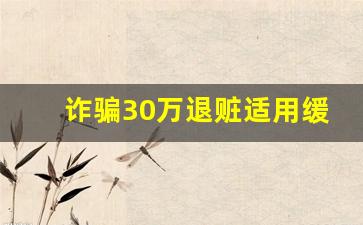 诈骗30万退赃适用缓刑吗_刑事案件只要你不认罪