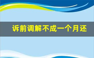 诉前调解不成一个月还没立案_立案后调解员多久联系你