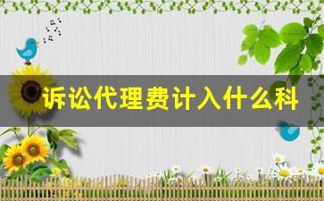 诉讼代理费计入什么科目_诉讼代理费会计分录