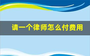 请一个律师怎么付费用_请律师是先付钱败了怎么办