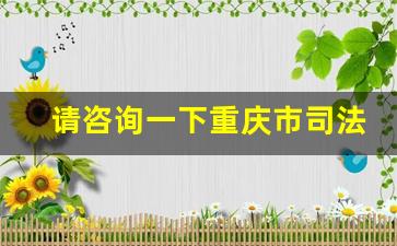 请咨询一下重庆市司法在线律师_重庆律师事务所咨询免费咨询