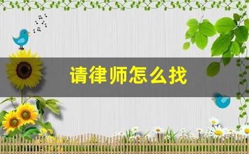 请律师怎么找