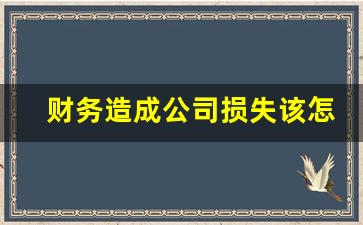 财务造成公司损失该怎么赔