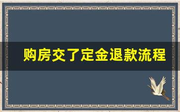 购房交了定金退款流程_买房退定金流程怎么走