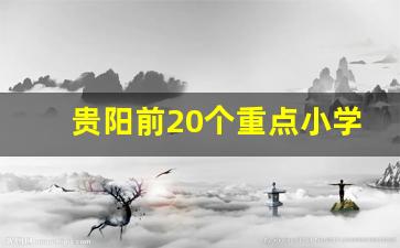 贵阳前20个重点小学_贵阳封闭式学校小学