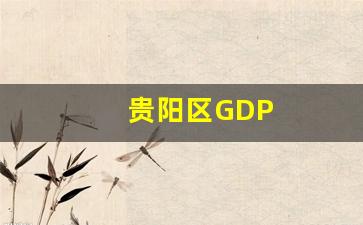 贵阳区GDP