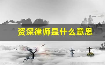 资深律师是什么意思