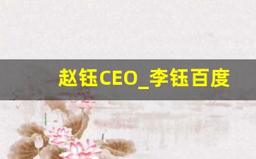 赵钰CEO_李钰百度百科