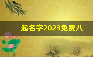 起名字2023免费八字起名周易_2023年女宝宝取名