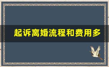 起诉离婚流程和费用多久开庭_怎么直接从网上起诉